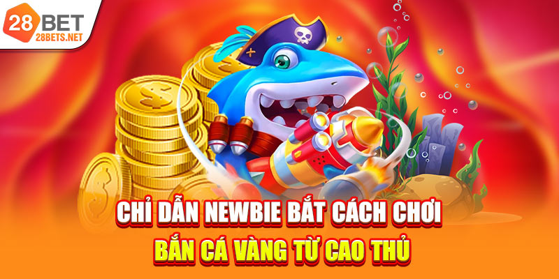Chỉ dẫn newbie bắt cách chơi bắn cá vàng từ cao thủ