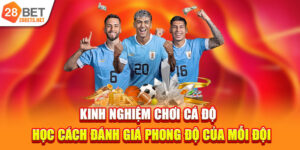 Hé Lộ Kinh Nghiệm Chơi Cá Độ Mà Nhà Cái Không Muốn Ai Biết