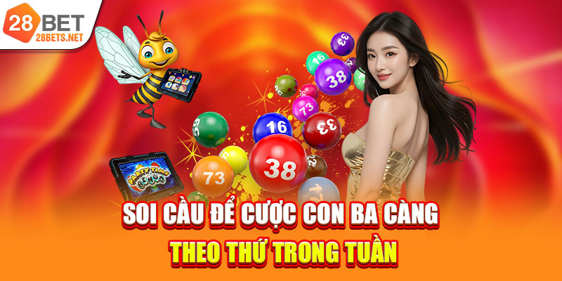 Soi cầu để cược con ba càng theo thứ trong tuần
