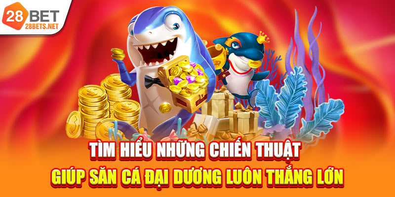 Tìm hiểu những chiến thuật giúp săn cá đại dương luôn thắng lớn